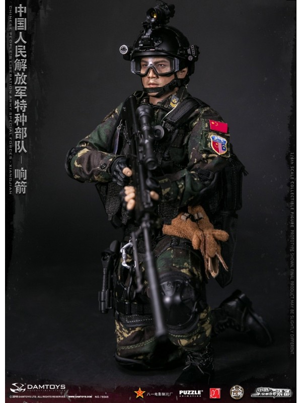 (現貨) DAMTOYS 78048 1/6中國人民解放軍特種部隊“響箭”  (HKD$1188)