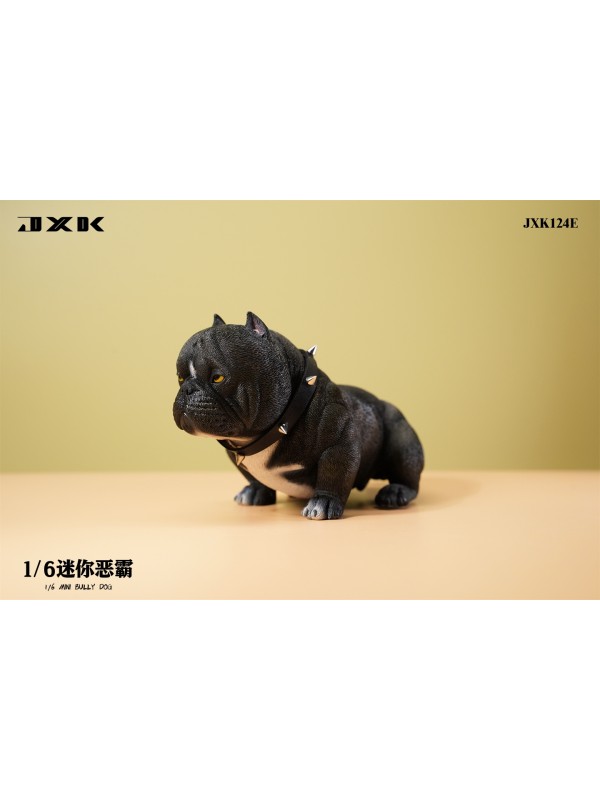 (Pre-order) JXK JXK124 1/6 Mini Bully Dog (Pre-order 148HKD)