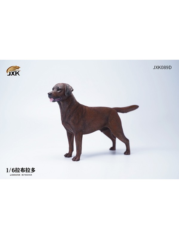 (預訂) JXK JXK089 1/6 拉布拉多 (預訂價 HKD$ 298)