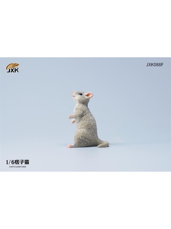 (預訂) JXK JXK088F 1/6 小老鼠 (預訂價 HKD$ 35)