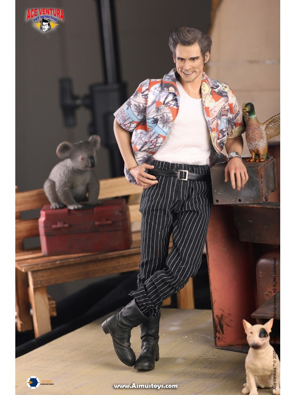 (SOLD OUT) Asmus Toys ACE01 1/6 Pet Detective series: Ace Ventura 