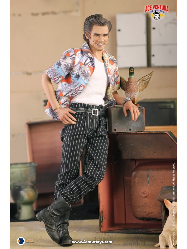 (SOLD OUT) Asmus Toys ACE01 1/6 Pet Detective series: Ace Ventura 