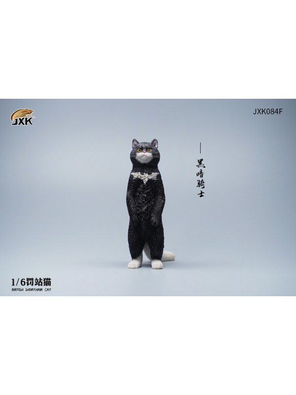 (預訂) JXK JXK084 1/6 罰站貓 英國短毛貓 (預訂價 HKD$ 178)