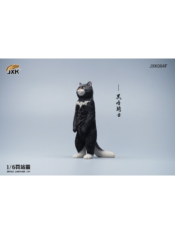 (預訂) JXK JXK084 1/6 罰站貓 英國短毛貓 (預訂價 HKD$ 178)