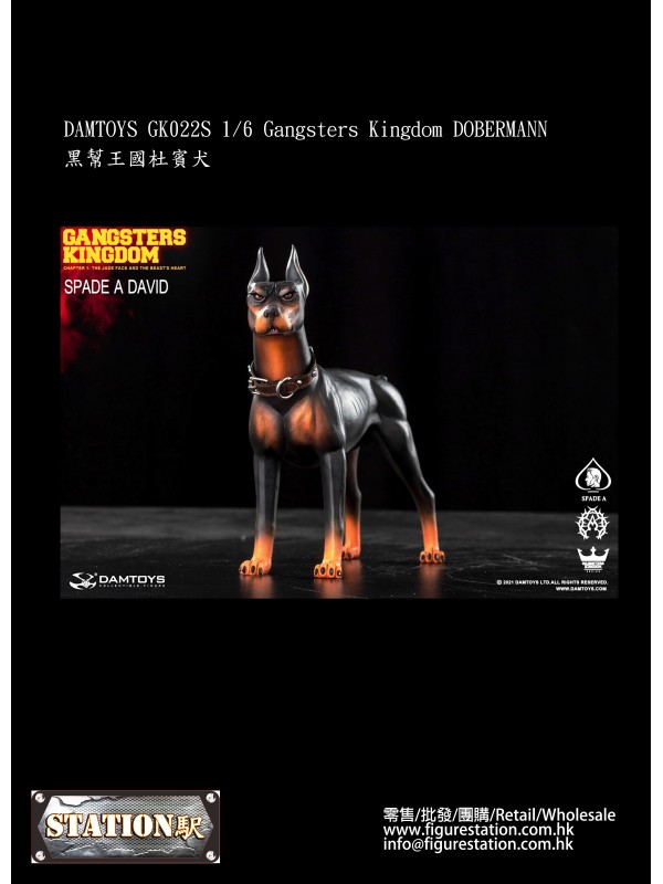 (預訂) DAMTOYS GK022S 1/6 黑幫王國杜賓犬 (預訂價HKD$448 )