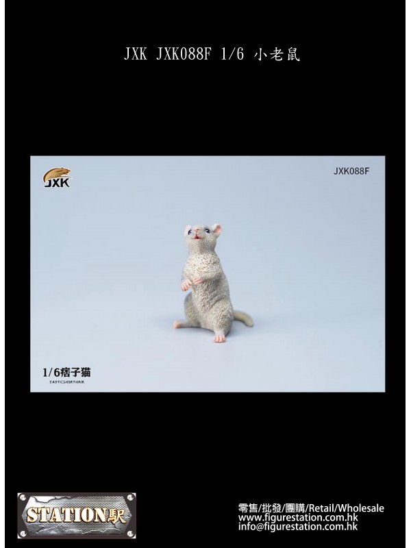 (預訂) JXK JXK088F 1/6 小老鼠 (預訂價 HKD$...