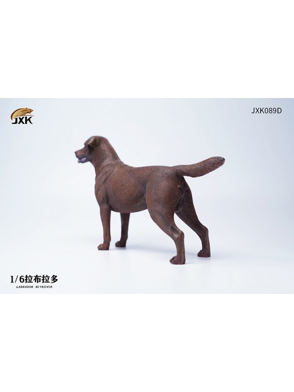 (預訂) JXK JXK089 1/6 拉布拉多 (預訂價 HKD$ 298)