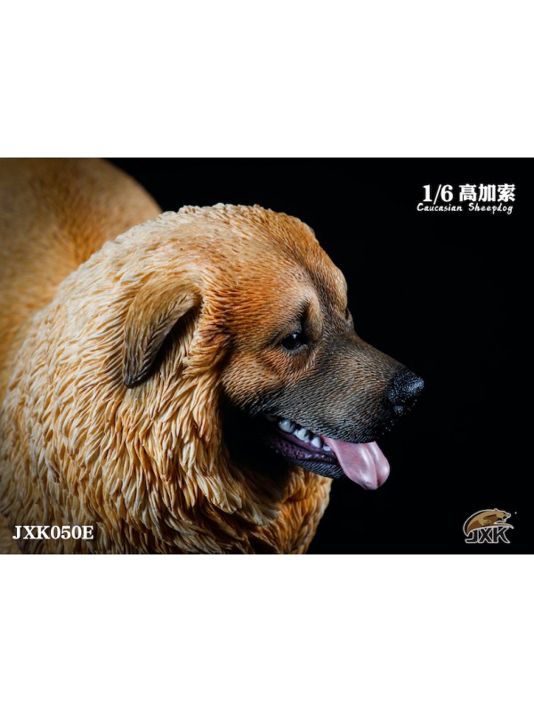 (預訂) JXK JXK050 1/6 高加索牧羊犬 