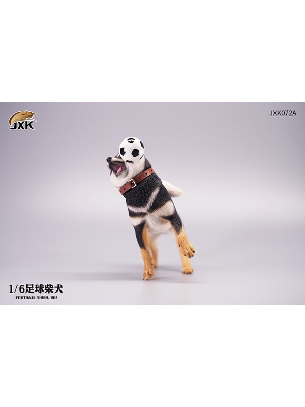 (預訂) JXK JXK072 1/6 足球柴犬 (預訂價 HKD$ 198)