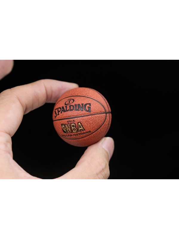(現貨) Re-order: Maestro Studio Basketball 1/6 MS大師 磁性籃球 NBA喬丹用非EB
